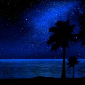 Meet your Posher, Ali