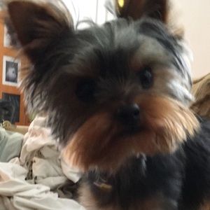 Meet your Posher, Aaron