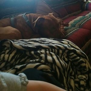 Meet your Posher, Rachel