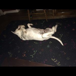 Meet your Posher, Aaron