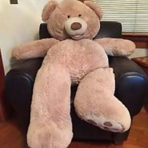 Big Teddy RESERVED