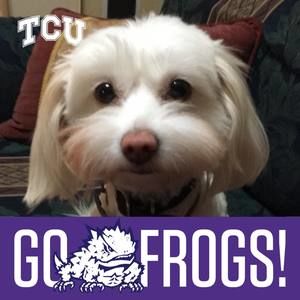 Meet your Posher, Cozie