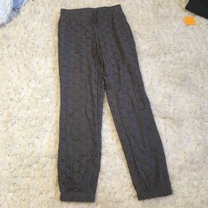 NTW Gray Lace Harem Pants
