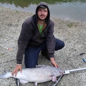 Meet your Posher, Troy