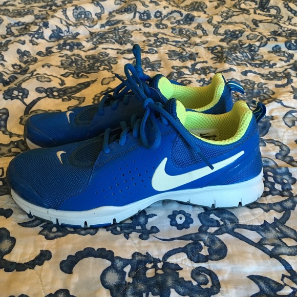 Nike Flex Royal Blue shoes