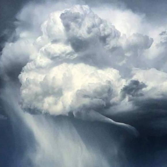 Meet your Posher, Autumn - Picture 1 of 1