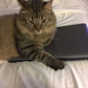 Meet your Posher, Carolyn