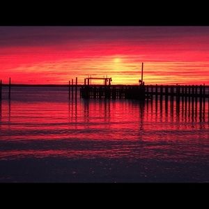 🌸Offers Welcome🌸