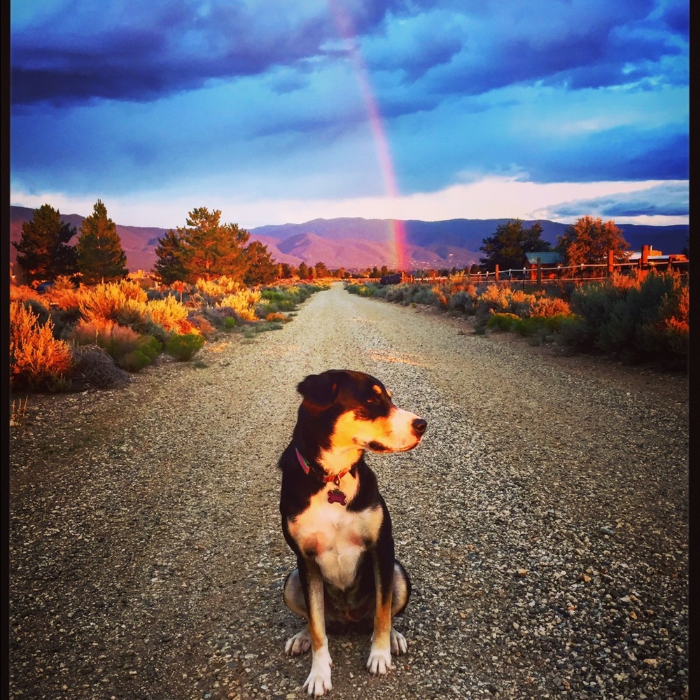 Meet your Posher, MK