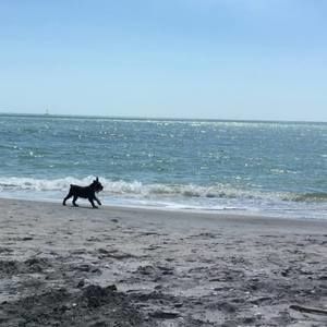 Meet your Posher, Carol