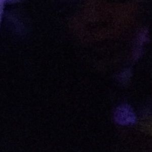 Meet your Posher, Stacey