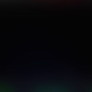 Meet your Posher, Delaney