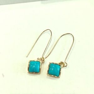 Turquoise long earrings