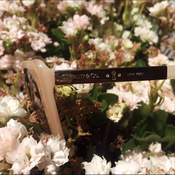 πHPπ TIFFANY & CO. TF 4074-B Nude Sunglasses - Picture 2 of 4