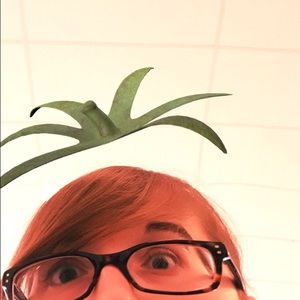 Meet your Posher, Phoebe