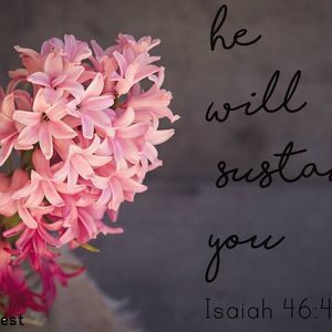 Meet your Posher, Honestee