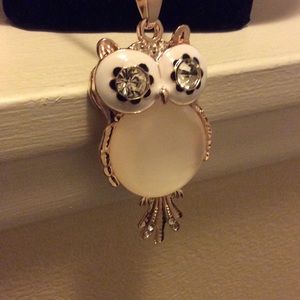 Betsey Johnson owl sweater necklace