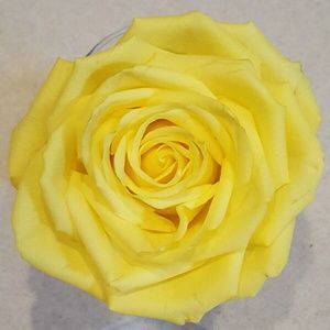 Meet your Posher, Cheri