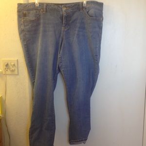 Torrid Jeans
