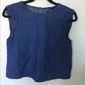 Zara Denim Crop Top