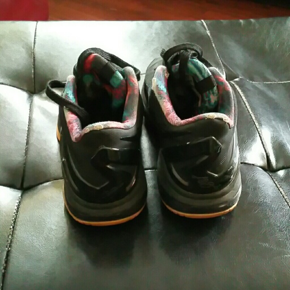 Lebrons - Picture 2 of 4