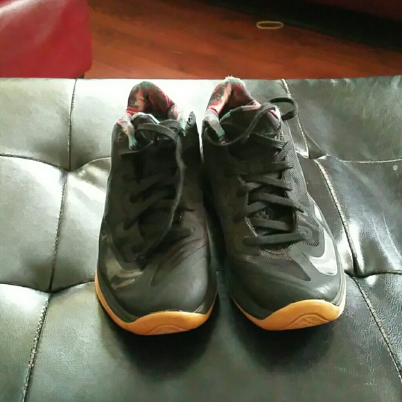 Lebrons - Picture 3 of 4