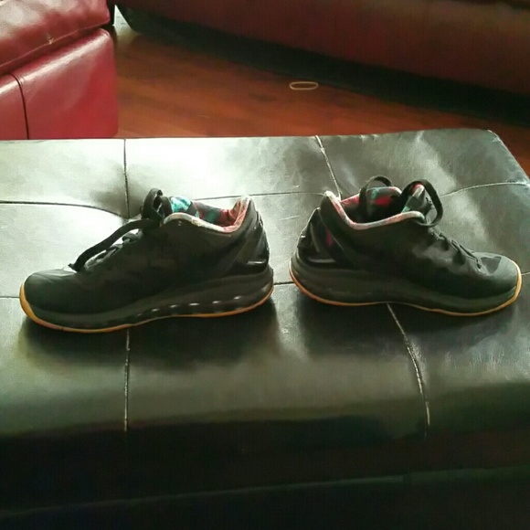 Lebrons - Picture 4 of 4