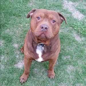 Meet your Posher, Ciara