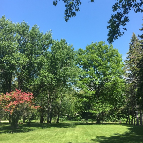 Meet your Posher, Jen