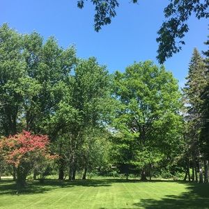 Meet your Posher, Jen