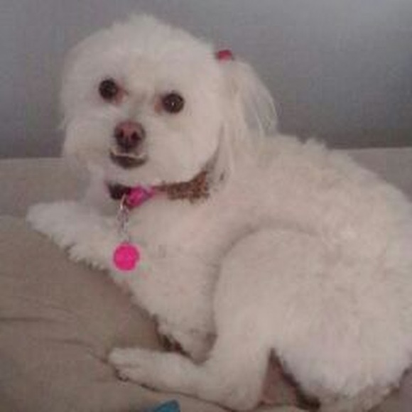 Meet your Posher, Jill - Picture 1 of 1