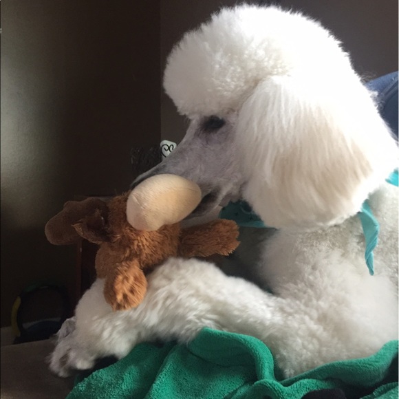 Meet your Posher, Mandi - Picture 5 of 8