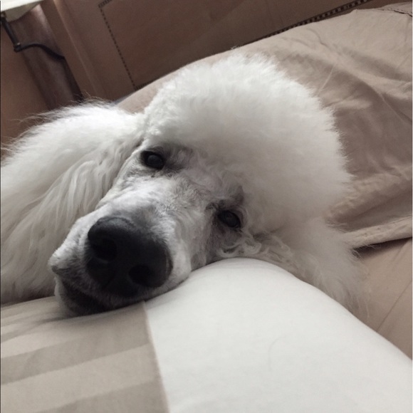 Meet your Posher, Mandi - Picture 8 of 8