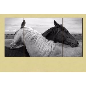 3 Piece Horse Giant Poster Wall Art