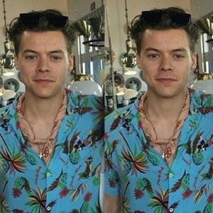 Meet your Posher, Harry