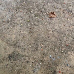 Meet your Posher, Jamel