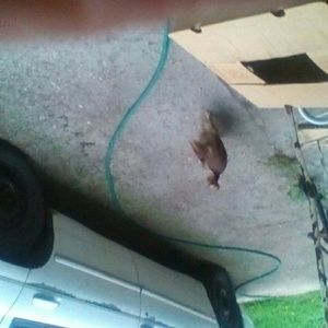 Meet your Posher, Doreena