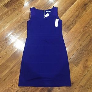 Cluny cobalt blue dress