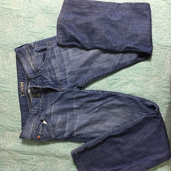 Hudson Flare Jeans 29
