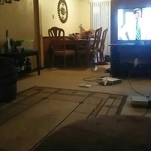 Meet your Posher, Dawson