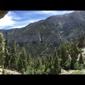 Meet your Posher, Hayden