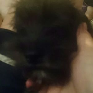 Meet your Posher, Tessa