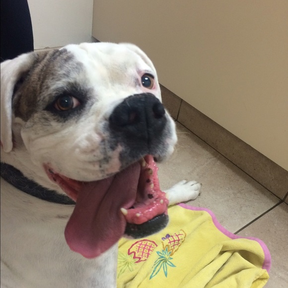 Meet your Posher, Brooke