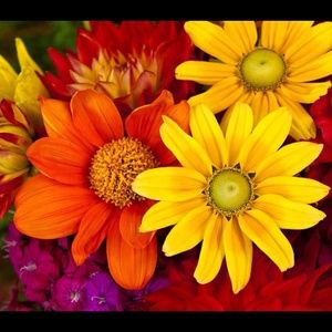 Meet your Posher, Lorana