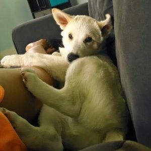 Meet your Posher, Katie