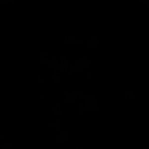 Meet your Posher, Aida