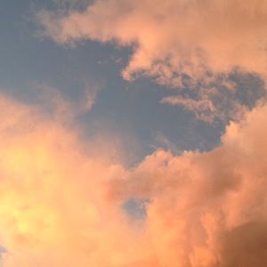 Meet your Posher, Hanah