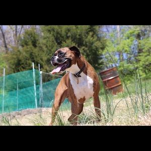 Meet your Posher, Cory