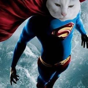 Meet your Posher, Felix