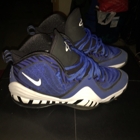 "Blue Tiger " Penny Hardaways